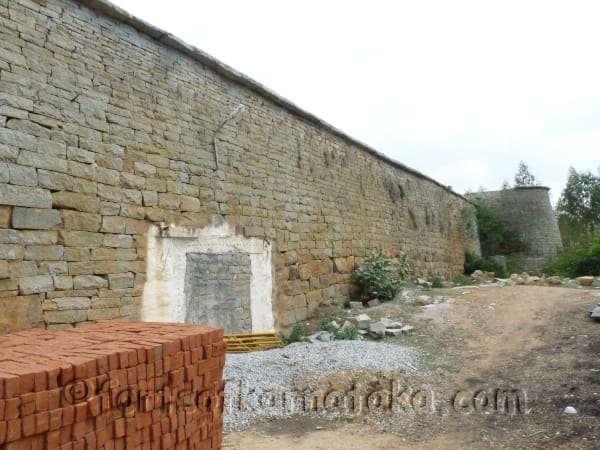 Kaki Bise Gowdana Kote