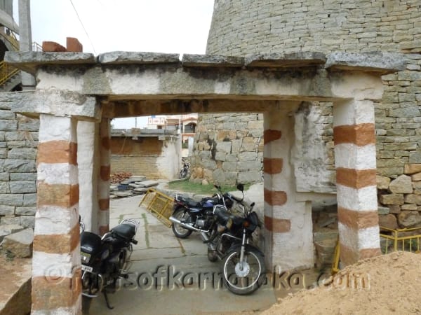 Kaki Bise Gowdana Kote