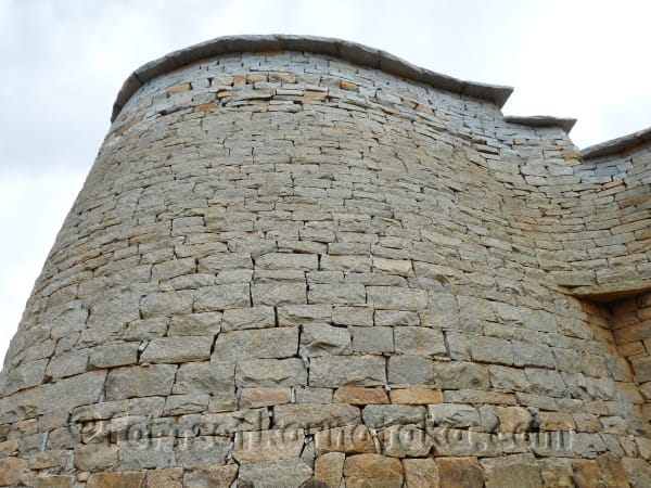 Kaki Bise Gowdana Kote