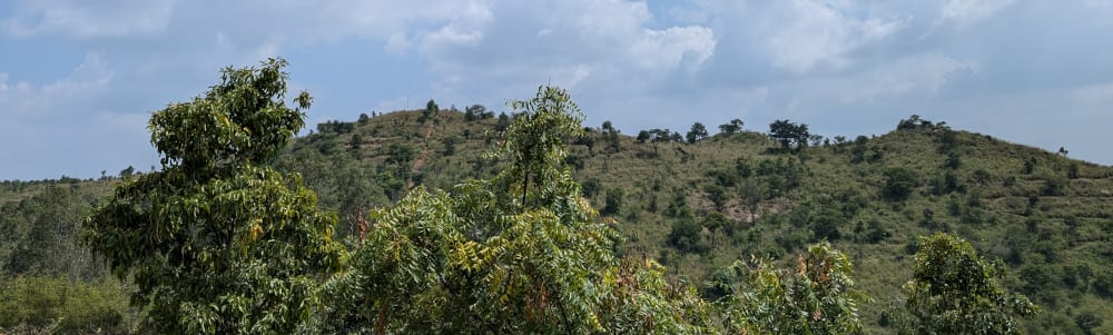 Karighatta