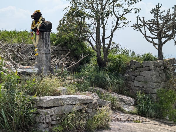 Narayanadurga / Narayanagiri