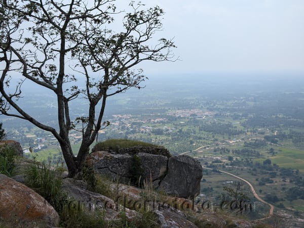 Narayanadurga / Narayanagiri