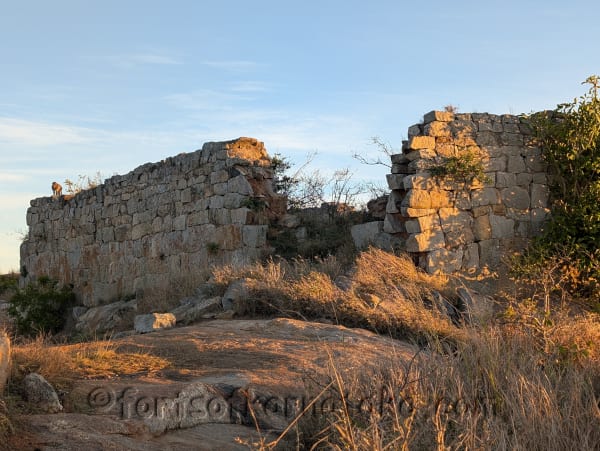 Rahmandurga (Kaiwara Betta)