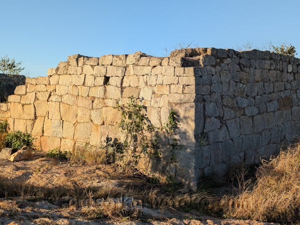 Rahmandurga (Kaiwara Betta)