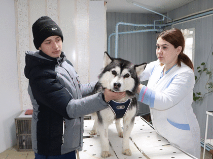 С заботой о братьях меньших