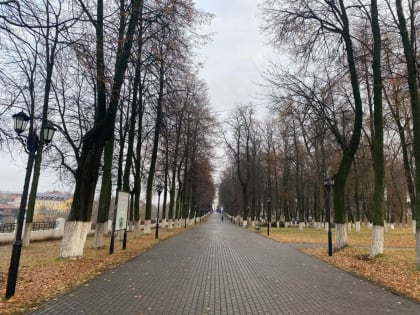 Владимирские синоптики рассказали о предстоящей погоде