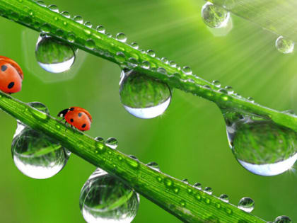 В Ковров на выходные дни придут дожди и похолодание