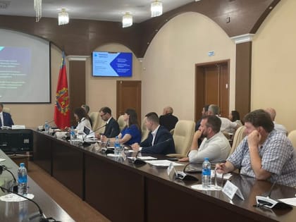 В Правительстве Владимирской области обсудили вопросы применения налогового мониторинга