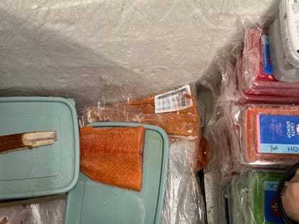 Санитарные нарушения: угроза здоровья общества