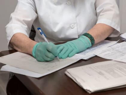 27 марта в Меленковском районе открылись два новых фельдшерско-акушерских пункта