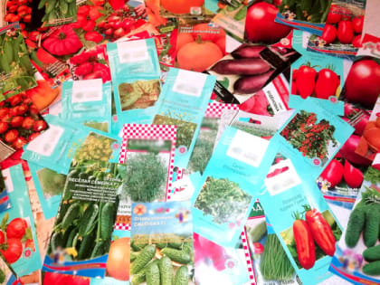 Садоводам Владимира рассказали о том, как бороться с чёрной ножкой у растений