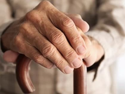 Во Владимирской области успешно применяются технологии «Приёмная семья для граждан пожилого возраста и инвалидов» и «Персональный помощник»