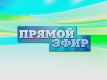 Прямой эфир директора Департамента Л.Е.Кукушкиной на телеканале "Губерния-33".