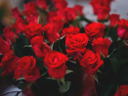 Поздравление руководителей Владимирской области с Международным женским днём