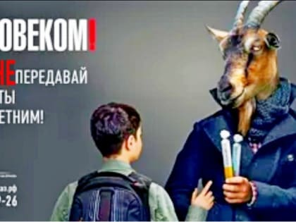 Владимирская область присоединилась к общественной кампании по борьбе с никотином «Спасибо за отказ!»