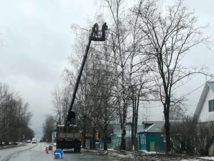 МБУ «Спецпредприятие» приступило к санитарной опиловке деревьев в городе