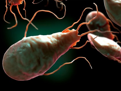 Рост инфекционных заболеваний в Кольчугинском районе за октябрь 2024 года