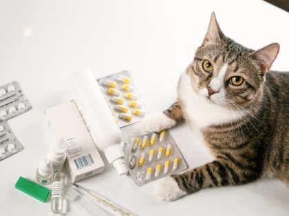 Во Владимире мужчина потратил более 1 млн рублей на полагающиеся ему бесплатно лекарства