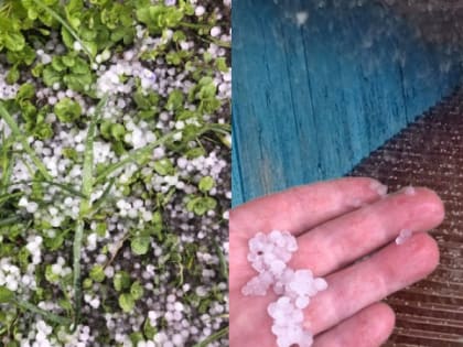 МЧС России прогнозирует угрозу посевам и плодовым культурам во Владимирской области