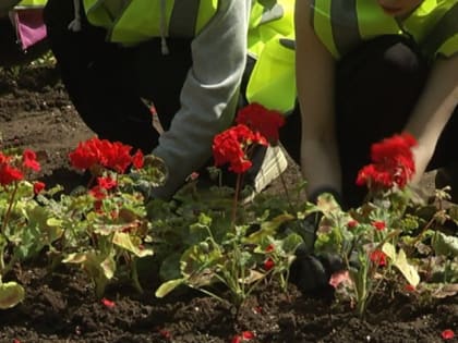 Владимирские студенты будут помогать в озеленении города