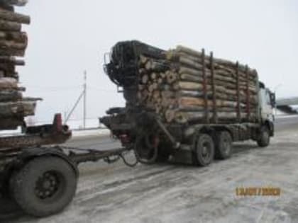 Во Владимирской области при мониторинге информационной системы  «ЕГАИС учета древесины»  установлен факт  нарушения требования законодательства о карантине растений