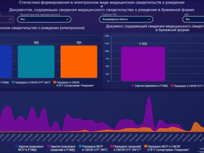 190 медицинских свидетельств о рождении выдано во Владимирской области