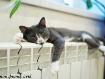 Отключение отопления пока не предполагается