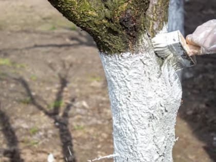 В эстетических  и практических целях