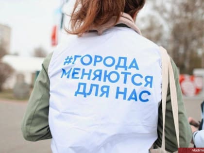 Владимирцы голосуют за объекты благоустройства в 2024 году