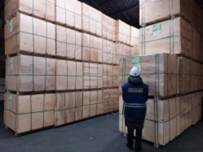 Сотрудники Управления Россельхознадзора досмотрели 480 куб. м берёзовой фанеры, предназначенной на экспорт в Китай из Костромской области