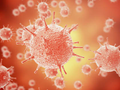 ИНФОРМАЦИОННЫЙ БЮЛЛЕТЕНЬ об инфекционной и паразитарной заболеваемости  за октябрь 2023 г.  в Кольчугинском районе.