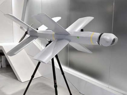 Bild: армия РФ успешно уничтожает истребители ВСУ с помощью дронов-камикадзе