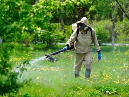 30 мая в Киржаче пройдет акарицидная обработка общественных территорий