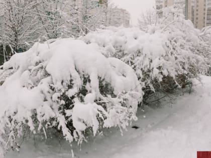 О неблагоприятных погодных условиях