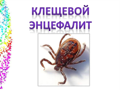 Клещевой энцефалит