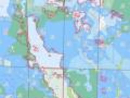 Специалисты Центра защиты леса Владимирской области спланировали работы по государственному лесопатологическому мониторингу в 2024 году