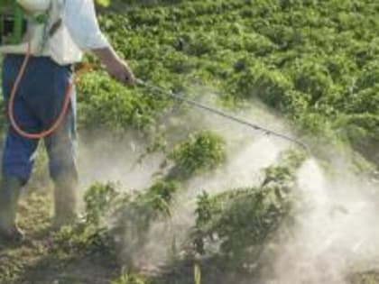 В Костромской области предприятию по оптовой продаже пестицидов и агрохимикатов разъяснили порядок работы в системе «Сатурн»