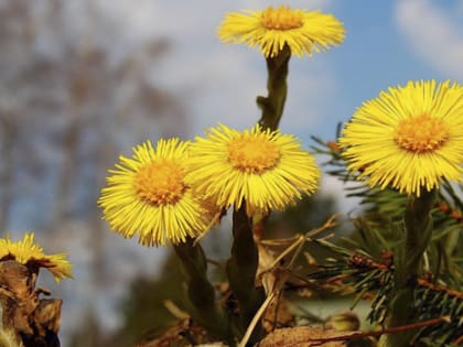 Какая погода ожидается в ближайшую неделю