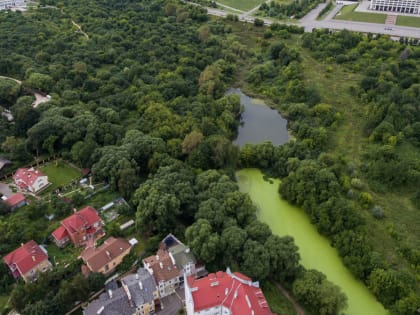 «Лыбедь — все еще та самая, она на поверхности, живая». Владимирский рыболовный клуб выступил против засыпки нижнего пруда в старых садах на улице Мира