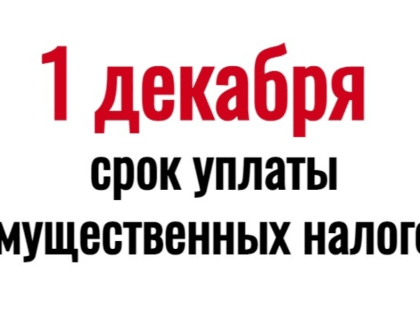1 декабря 2023 года - срок уплаты имущественных налогов физических лиц
