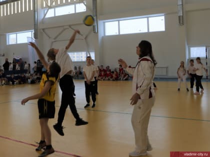 Во Владимире прошли областные соревнования по подвижным играм