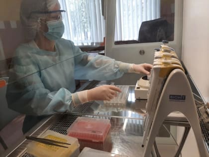 Во Владимирской области за неделю клещи атаковали 152 человек