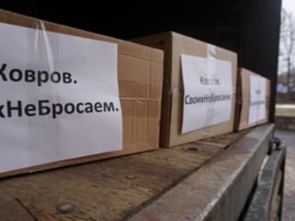 Акция «Тепло иZ дома» продолжается