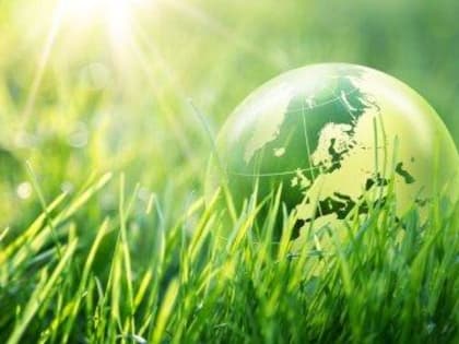 12 августа в Киржаче прошла экологическая акция по раздельному сбору мусора