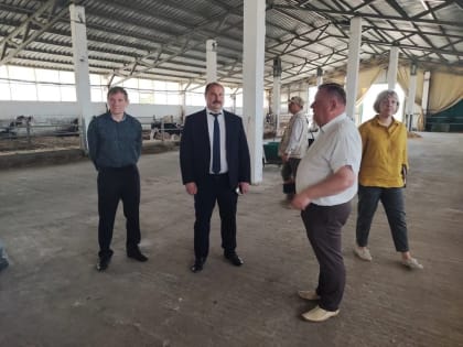 Поголовье животных растёт