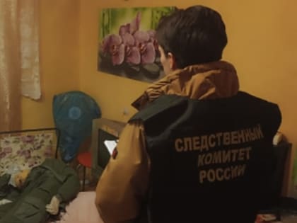 Жителю Кольчугино предъявлено обвинение в убийстве собутыльника