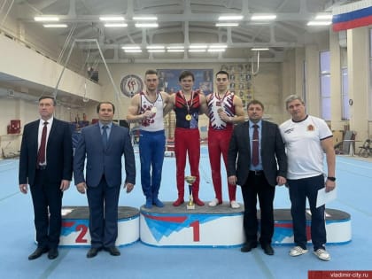 Владимирские гимнасты на чемпионате ЦФО подтвердили свой высокий класс