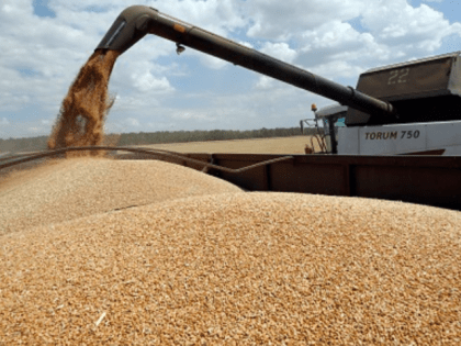 Главы министерств сельского хозяйства G7 призвали к ответственности Индию за ее запрет на вывоз пшеницы