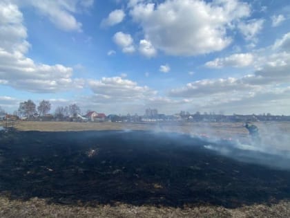 В Муромском районе пал травы вызвал огневой фронт