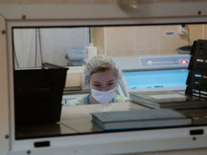 Во Владимирской области за прошедшие сутки подтверждено 16 случаев заболевания ковидом